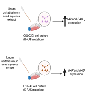 Properties Of Linum Usitatissimum Seed Aqueous Extract Against Colon ...